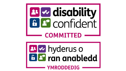 Disability Confident employer combined accreditation badge